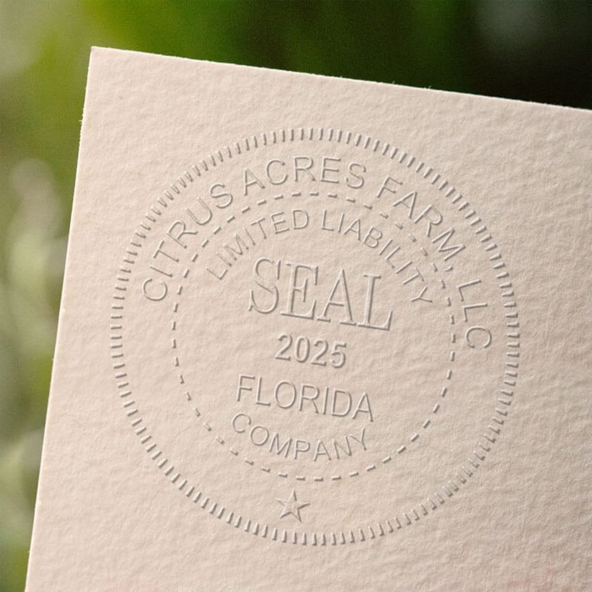 Limited Liability Company with Date Seal Embosser