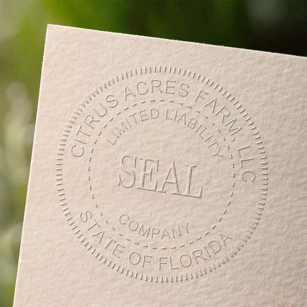 This is what the raised impression left by the LLC Seal Embosser looks like on paper.