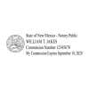 New Mexico Pink Rectangle Notary Stamp Impression
