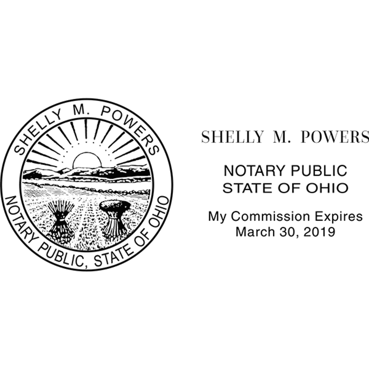 Ohio Notary Stamp - Rectangle Imprint Example