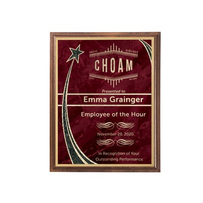 Administrator of the Year Rising Star 8" x 10" Walnut Plaque - alternate view