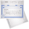 BLUTO 02 Blank Corporate Stock Certificates