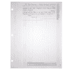 BLUTO 02 Blank Corporate Stock Certificates