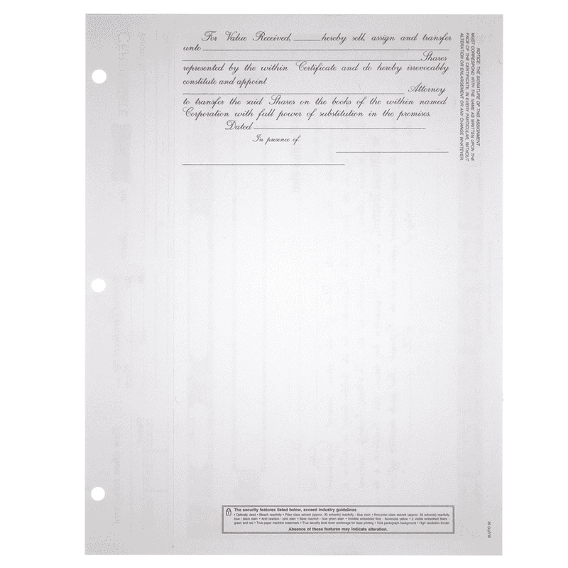 BLUTO 02 Corporate Stock Certificates