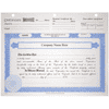 BLUTO 02 Corporate Stock Certificates