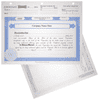 BLUTO 02 Corporate Stock Certificates