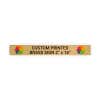 Horizontal Full Color Brass Signs 2" x 16"