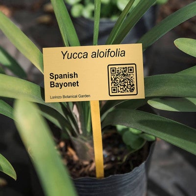 1x2 custom engraved brass plate displayed by a plant