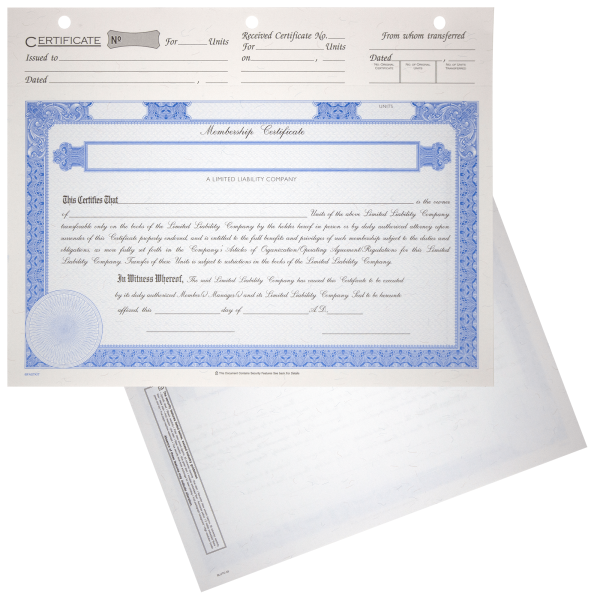 BLUTO 03 LLC Blank Membership Certificates | Quantity of 20 or More