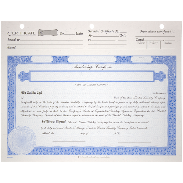 BLUTO 03 LLC Blank Membership Certificates - alternate view