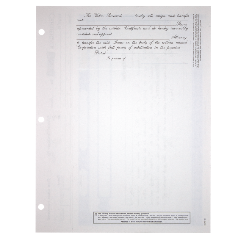 BLUTO 02 Blank Corporate Stock Certificates | Quantity of 20 or More
