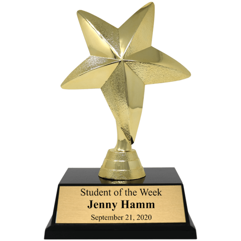 Student Gold Star Award Trophy