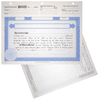 BLUTO 02 Blank Corporate Stock Certificates | Quantity of 20 or More
