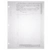 BLUTO 02 Blank Corporate Stock Certificates | Quantity of 20 or More