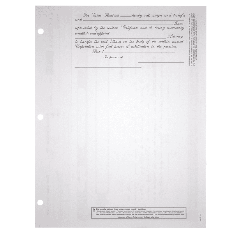 BLUTO 02 Blank Corporate Stock Certificates | Quantity of 20 or More