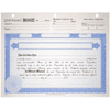 BLUTO 02 Blank Corporate Stock Certificates | Quantity of 20 or More