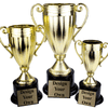 Frosted Cup Trophy Award