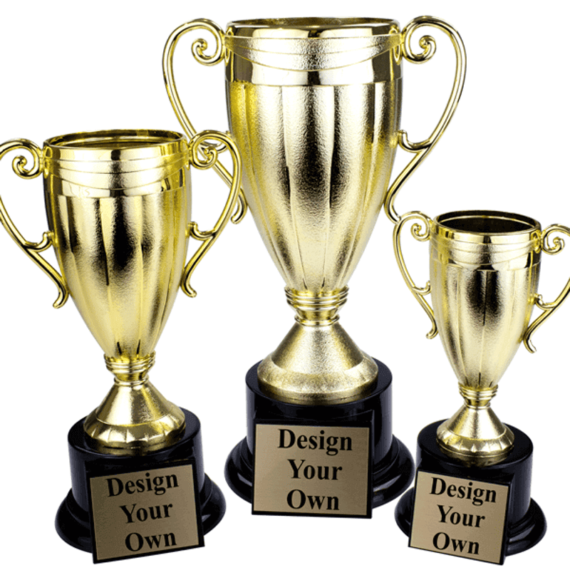 Frosted Cup Trophy Award