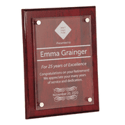Retirement Recognition 9" x 12" Acrylic Plaque