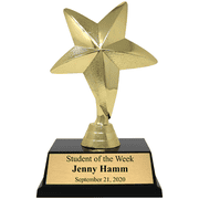 Gold Star Student Award Trophy