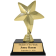 Gold Star Student Award Trophy