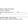 New Hampshire Signature Witness Notary Stamp Imprint Example