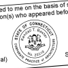 State of Connecticut Corporate Architect Seal Imprint