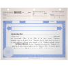 BLUTO 02 Blank Corporate Stock Certificates | Quantity of 20 or More