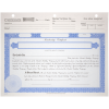 BLUTO 03 LLC Blank Membership Certificates | Quantity of 20 or More