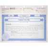 BLUTO 03 LLC Membership Certificates | Quantity of 20 or More