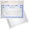 BLUTO 03 LLC Membership Certificates | Quantity of 20 or More