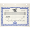 GOES KG3 Blank Corporate Stock Certificates | Quantity of 20 or more