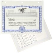 Duke 11 Blank Stock Certificates 