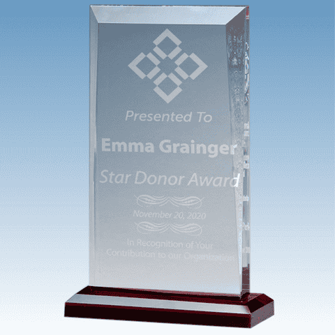 Donation Goal Apex Style Acrylic Award