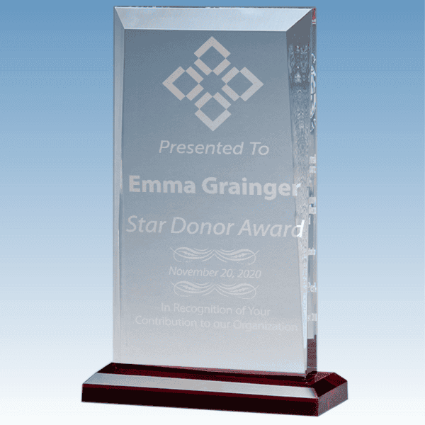 Donation Goal Apex Style Acrylic Award