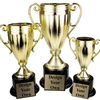 Frosted Cup Trophy Award